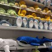 ヒメ日記 2026/02/11 19:30 投稿 かれん luxury spa 風雅