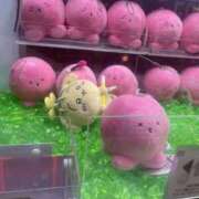 ヒメ日記 2026/01/23 18:52 投稿 りな りんくう泉佐野ちゃんこ