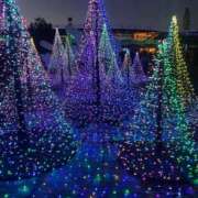 ヒメ日記 2025/12/27 21:20 投稿 くりあ サティアンまーと