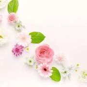 ヒメ日記 2025/12/29 17:49 投稿 麻耶(まや) エリートな人妻たち新宿