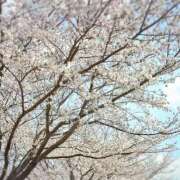 ヒメ日記 2026/04/05 07:30 投稿 もか 出会い系人妻ネットワーク 新宿〜池袋編