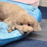 ヒメ日記 2026/02/28 11:42 投稿 佐良木ことね えちごやSS商事