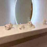 ヒメ日記 2026/04/12 01:22 投稿 佐良木ことね えちごやSS商事