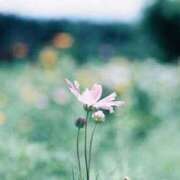 倉本 かずね 節分！ CUORE(クオレ)