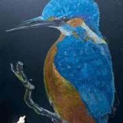 ヒメ日記 2026/02/12 21:44 投稿 うさ バタフライ立川