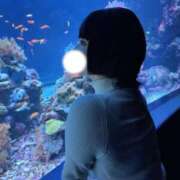 ヒメ日記 2026/01/11 08:16 投稿 ちの ニュー不夜城