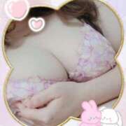 ヒメ日記 2026/03/12 16:18 投稿 つむぎ 奥様メモリアル