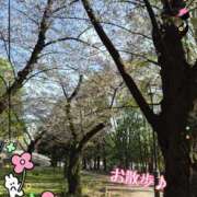 ヒメ日記 2026/04/15 16:06 投稿 つむぎ 奥様メモリアル