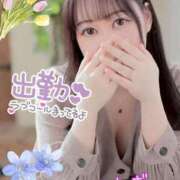 ヒメ日記 2026/04/19 16:33 投稿 つむぎ 奥様メモリアル