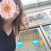 ヒメ日記 2026/06/12 15:03 投稿 美紀-ミキ- お姉さんセレブR38