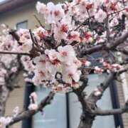 ヒメ日記 2026/03/04 14:31 投稿 なつき 人妻ちゃんねる