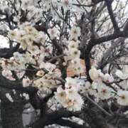 ヒメ日記 2026/03/09 15:48 投稿 なつき 人妻ちゃんねる