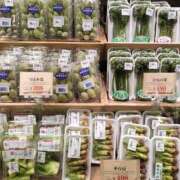 ヒメ日記 2026/03/13 14:37 投稿 なつき 人妻ちゃんねる