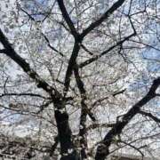 ヒメ日記 2026/03/27 13:46 投稿 なつき 人妻ちゃんねる