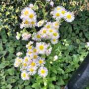 なつき よい陽気 人妻ちゃんねる