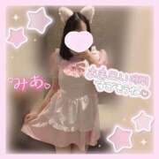 ヒメ日記 2026/02/12 06:45 投稿 みあ ANNEX（アネックス）