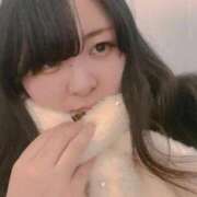 ヒメ日記 2025/12/30 09:09 投稿 てん 白いぽっちゃりさん五反田店