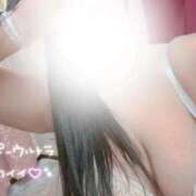 ヒメ日記 2026/03/13 10:49 投稿 てん 白いぽっちゃりさん五反田店