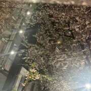 ヒメ日記 2026/04/05 12:59 投稿 てん 白いぽっちゃりさん五反田店