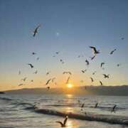 ヒメ日記 2026/01/01 07:32 投稿 なゆ 小田原人妻城