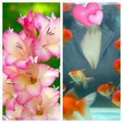 ヒメ日記 2026/01/13 10:31 投稿 なゆ 小田原人妻城