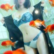 ヒメ日記 2026/01/15 19:37 投稿 なゆ 小田原人妻城