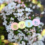 ヒメ日記 2026/03/07 21:08 投稿 なゆ 小田原人妻城