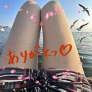 ヒメ日記 2026/03/29 14:18 投稿 なゆ 小田原人妻城