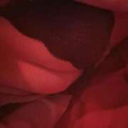 ヒメ日記 2026/01/23 14:24 投稿 なごみ べっぴんコレクション