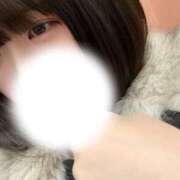 ヒメ日記 2025/12/23 13:21 投稿 ねこ チェックイン横浜女学園