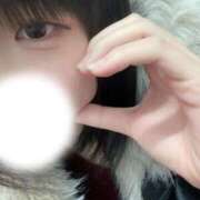 ねこ オキニトーク解禁🐱 チェックイン横浜女学園