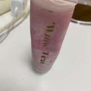 ねこ おはようございます🐱 チェックイン横浜女学園