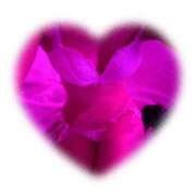 ヒメ日記 2026/01/09 11:13 投稿 しほ ハニープラザ（ユメオト）