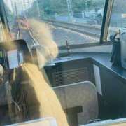 ヒメ日記 2025/12/29 15:54 投稿 えむる エマーブル