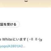 ヒメ日記 2026/03/04 12:02 投稿 ゆあな The White