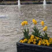 竹中 まこ もうすぐ出勤です こあくまな熟女たち 千葉店（KOAKUMAグループ）