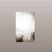 ヒメ日記 2026/01/04 12:57 投稿 ハマチ 女の子市場　川越店