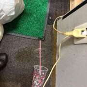 永沢 優浬 [お題]from:二人で競馬場行きたいさん クラブダンディー