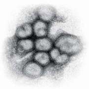 永沢 優浬 春にもやられるナガサワ クラブダンディー