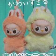 ヒメ日記 2026/04/20 13:42 投稿 みさき セクシー(長崎)