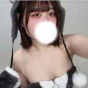 ヒメ日記 2025/12/27 13:59 投稿 かづき 帯広黒い金魚