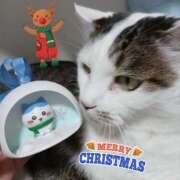 北村みほ スノードーム。 月の真珠-新宿-