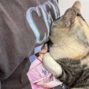 ヒメ日記 2026/01/30 21:02 投稿 ななみ 胡蝶蘭