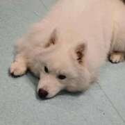 あい 20時まで！ 即トク奥さん