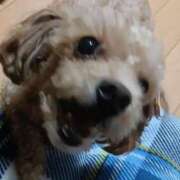 ヒメ日記 2026/03/14 19:20 投稿 あい 即トク奥さん