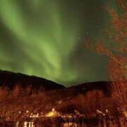 ヒメ日記 2025/12/23 18:36 投稿 ゆりか 女の子がセルフで撮影する店！！成田デリヘル『生パネル』伝説