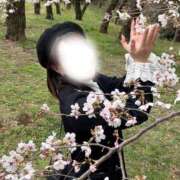 ヒメ日記 2026/03/28 06:44 投稿 Michika PROPORTION