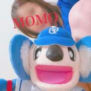 ヒメ日記 2026/09/17 15:39 投稿 もも奥様【VIP】 金沢の20代30代40代50代が集う人妻倶楽部