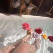 ヒメ日記 2026/01/05 21:17 投稿 ひなた 推しの娘