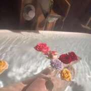 ヒメ日記 2026/01/29 20:17 投稿 ひなた 推しの娘